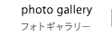 photo gallery 写真ギャラリー