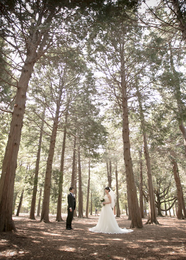 代々木公園 結婚式 結婚写真のonestyle